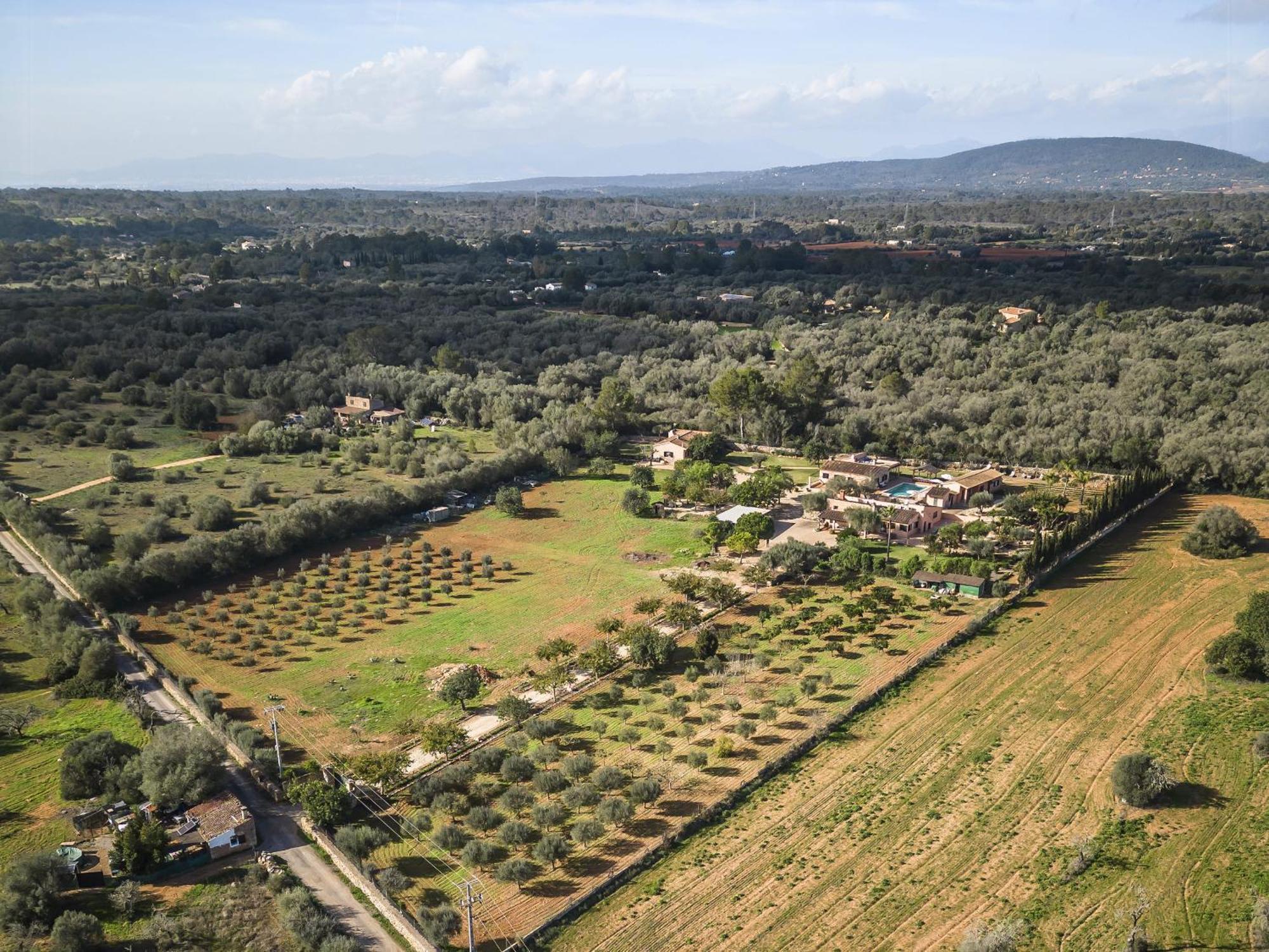 Cas Misser Algaida  Exterior photo